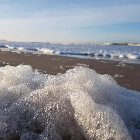 Semesterbostad 4 Star In *