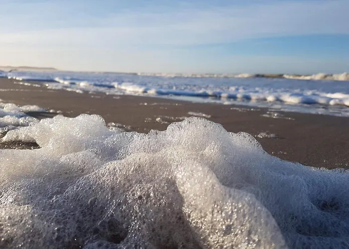 Hébergement de vacances 4 Star In *